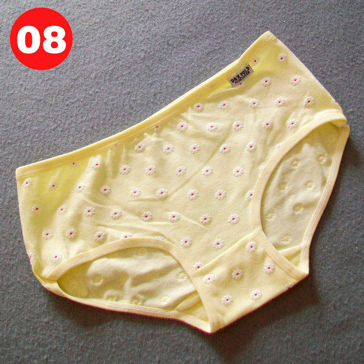 Slip jeunesse W003 en coton - Ref 645673 Image 18