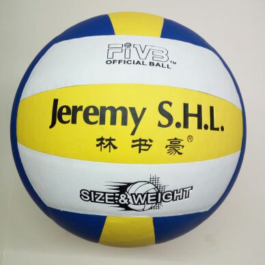 Ballon de volley - Ref 2009333 Image 6