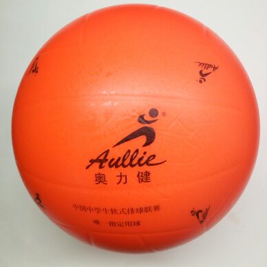 Ballon de volley - Ref 2013864 Image 5