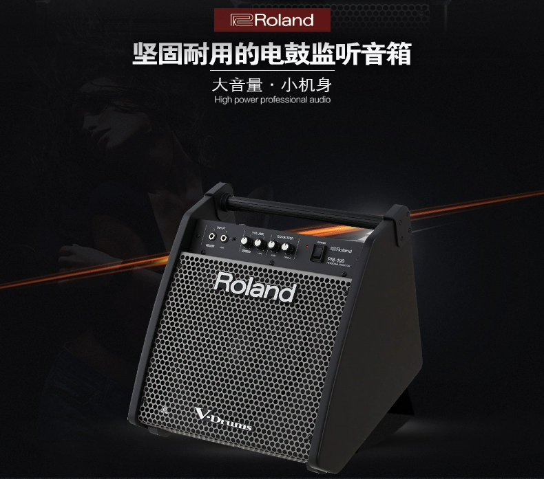 Loa trống Roland Roland Trống PM10 Nâng cấp Loa màn hình PM100 PM03 - Loa loa