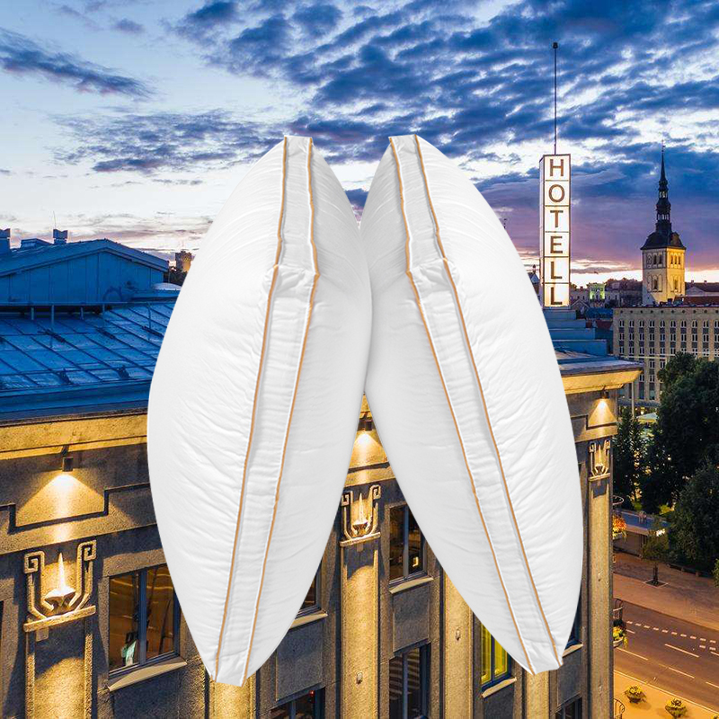 5つ星ホテルのグースダウン枕スクエア枕コアクッション45 50 60x80ベッドサイド枕バックコア