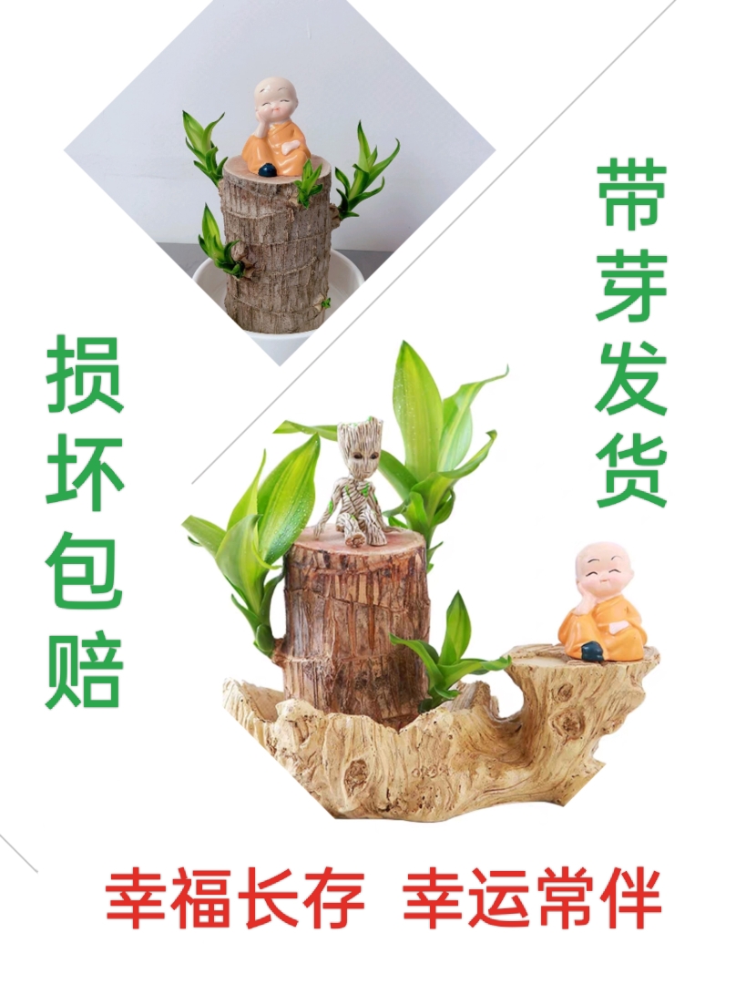 With bud with leaf hydroponic Brazil wood suction formaldehyde fresh air sloth nice to raise living room bedroom desk swing piece-Taobao