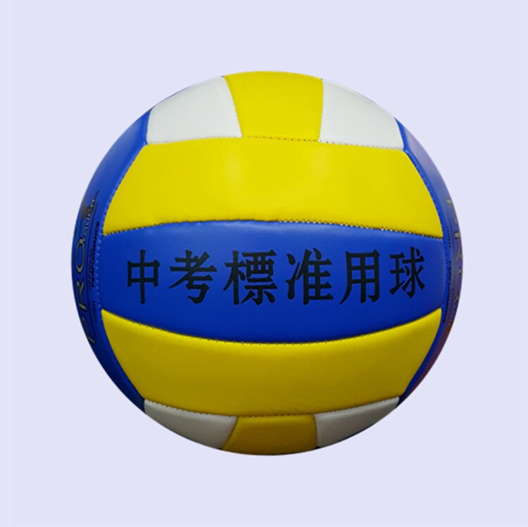Ballon de volley-ball - Ref 2012459 Image 14