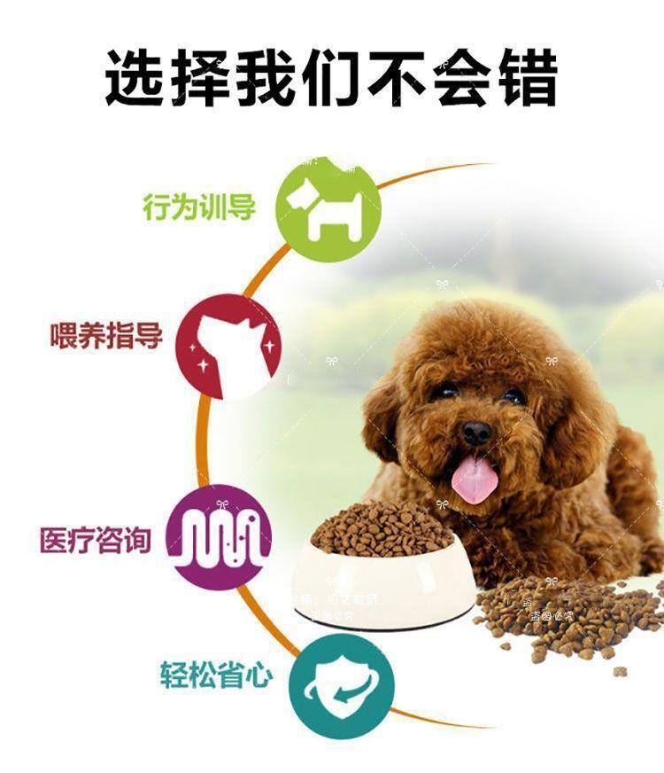 训狗教程金毛边牧狗狗零基础新版宠物定点上厕所动作训练视频课程
