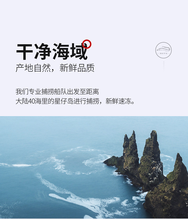 星仔岛 东海带鱼中段 4斤 图3
