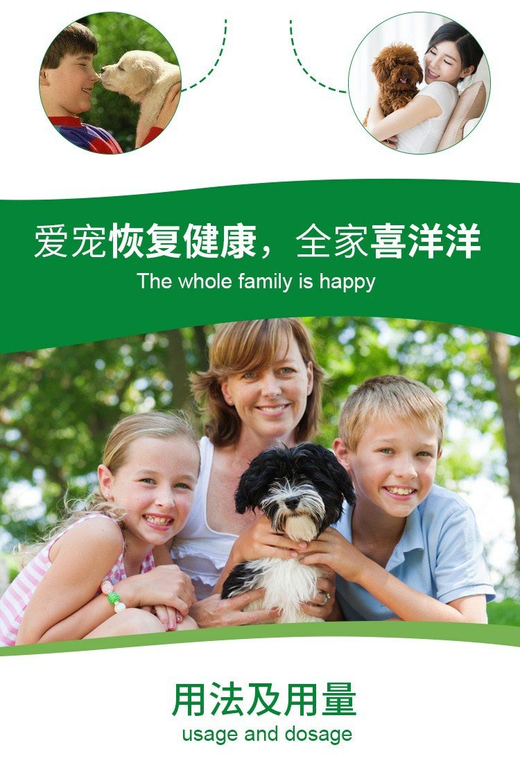 Mubes vật nuôi mèo và chó mèo điều hòa chó cưng và mèo thuốc tiêu hóa để điều trị cúm tiêu chảy đặc biệt hộp chất lỏng bằng miệng - Cat / Dog Medical Supplies 	bộ kim tiêm thú y