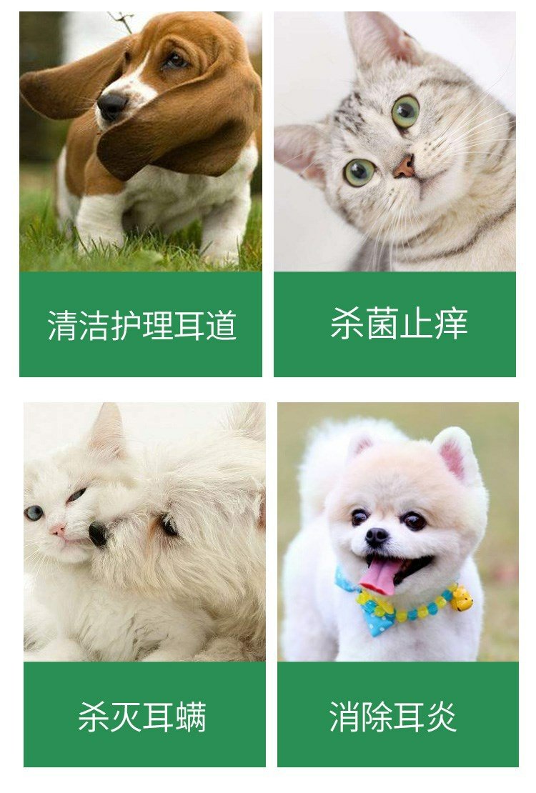 New Zealand bướm tai chó làm sạch tai mèo trừ điếc teddy lông vàng viêm tai chống viêm vật nuôi - Cat / Dog Medical Supplies 	phụ kiện kim tiêm thú y	