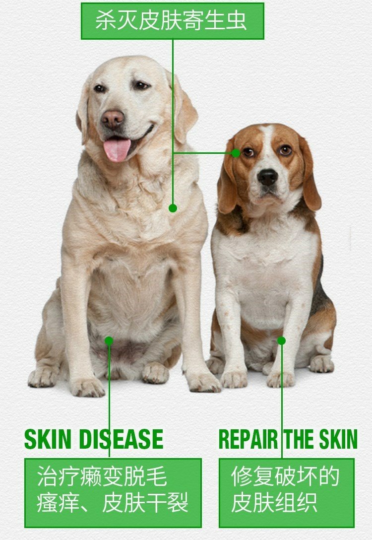 贝斯 蚤 跳蚤 Cat Deworming In Vitro Spray Dùng ngoài - Cat / Dog Medical Supplies các loại vật tư y tế cho thú cưng
