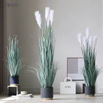 Roman dad original ecological simulation green plant potted simple reed grass simulation flower living room floor decoration ornaments