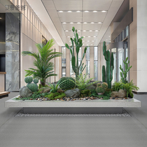 Nordic ins simulation green plant Cactus Cactus potted landscaping plant soft dress floral landscape ornaments decoration