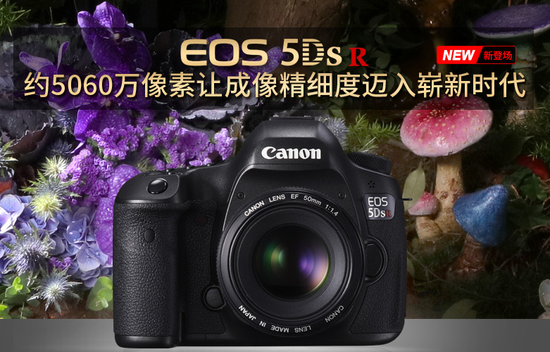 Canon Canon EOS 5DS R máy ảnh SLR kỹ thuật số Canon 5DSR duy nhất cơ thể bán chuyên nghiệp đầy đủ khung