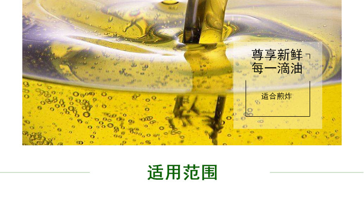 安享好物 安享D级调和油-海皇煎炸王调和油