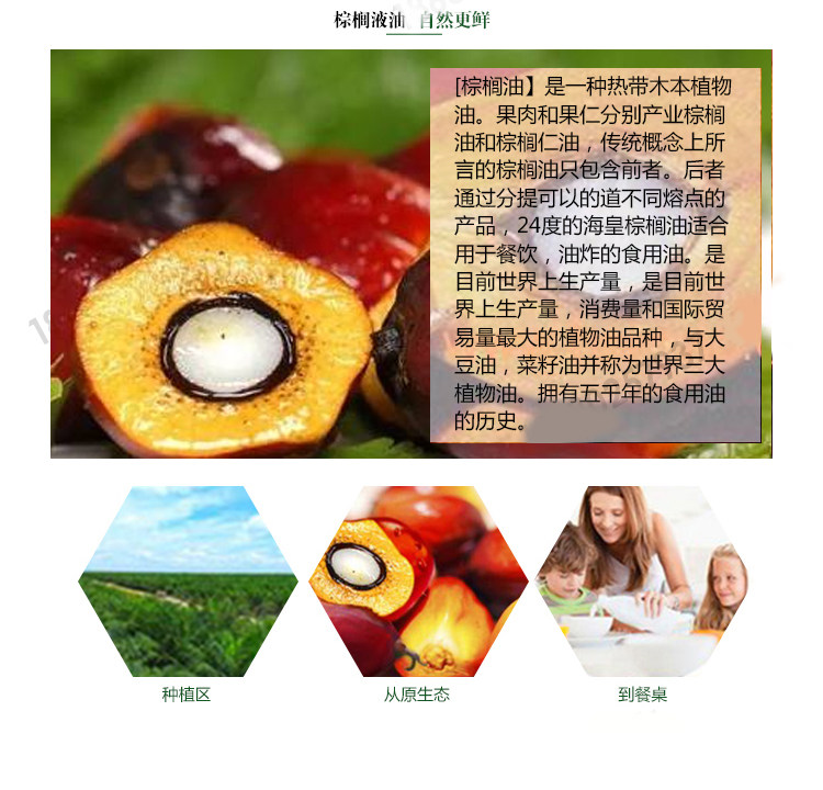 安享好物 安享D级调和油-海皇煎炸王调和油