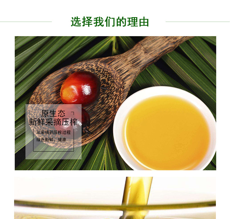 安享好物 安享D级调和油-海皇煎炸王调和油