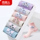 Nam Cực vớ cotton quà tặng hộp cotton cotton sinh viên dễ thương vớ ống thoáng khí