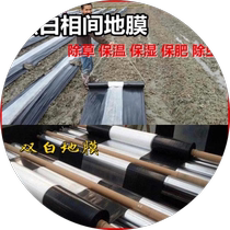 Agricultural new material greenhouse special white film black and white weed removal film insulation and moisturizing vegetable plastic film