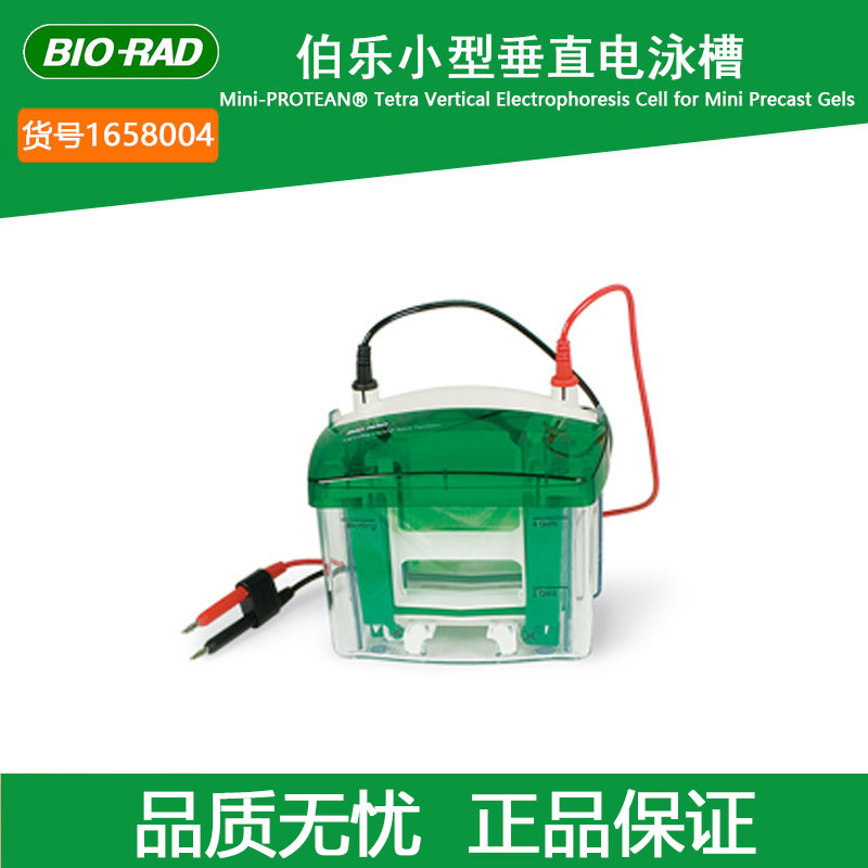 伯乐BIO-RAD垂直电泳槽1658004不含制胶模块适用于小型预制胶