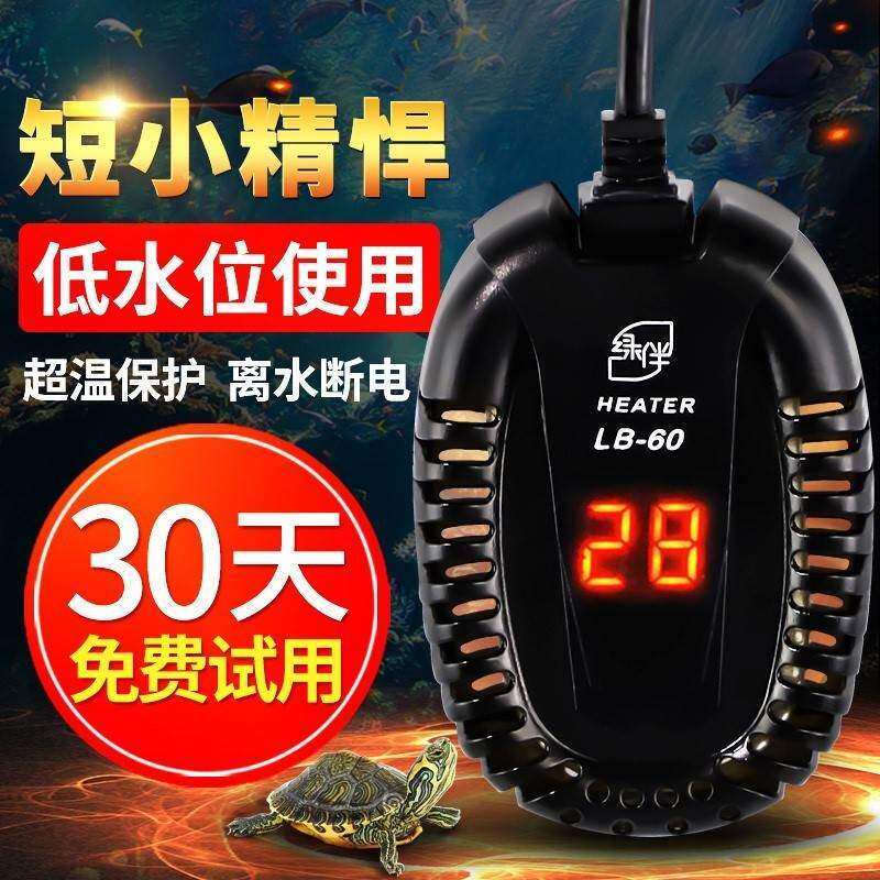 Turtle tank turtle mini tropical fish tank heater winter