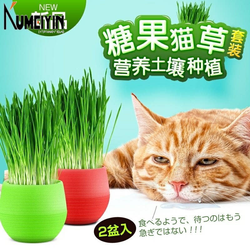 candy cat grass to hair ball to help diffest cat snacks ca