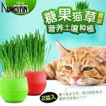 candy cat grass to hair ball to help digest cat snacks ca