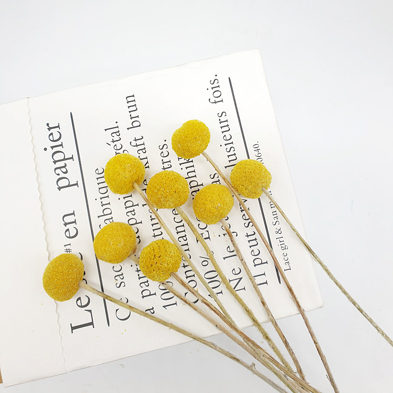 Gold ball natural imported dried flower bouquet home decoration ornaments DIY flower arrangement with flower art small clear Yunnan