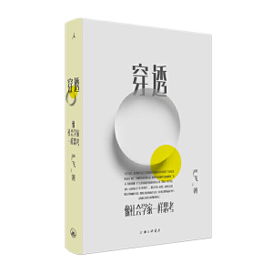 正版 穿透 像社会学家一样思考 严飞 著理想国出品书籍清华大学社会学概论理论 中国社会图景 钱颖一 刘瑜 郝景芳