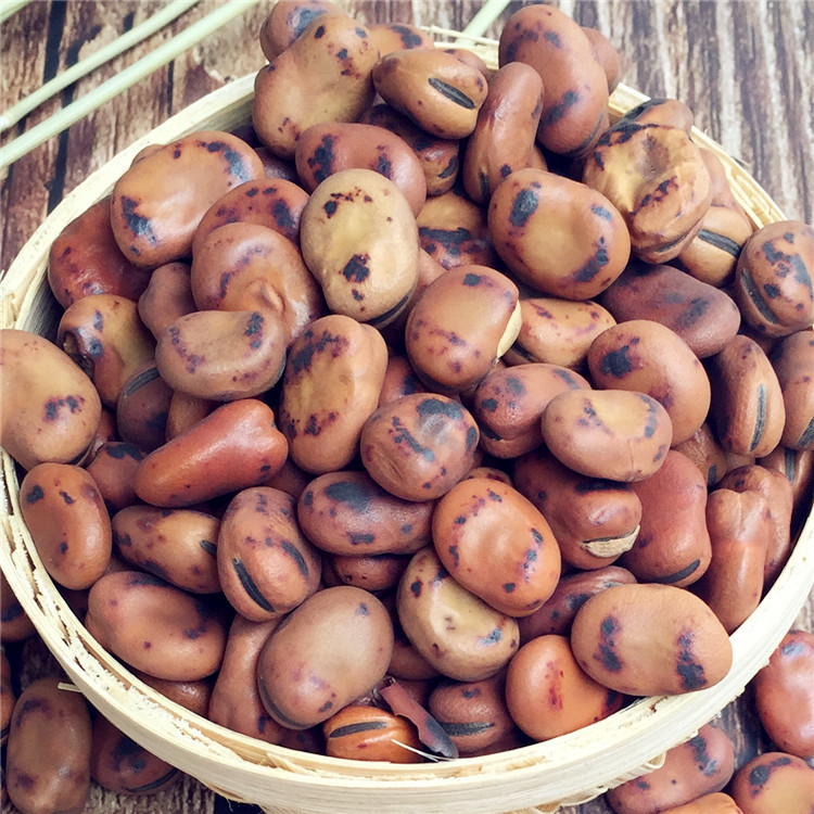 Iron Broad Bean Special Hard Fried Broad Bean Iron Pot Hudou Pea Soybean Farmhouse Handmade Orchid Bean Hunan Specialty 500g