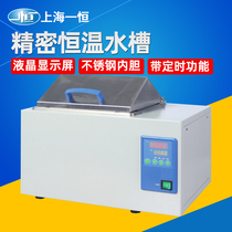 Shanghai Yiheng precision constant temperature sink BWS-12-27G Yiheng electromagnetic pump electric heating water tank laboratory