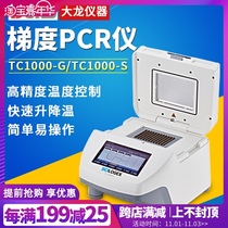 Beijing Dalong PCR instrument gradient Isocratic TC1000 laboratory gene DNA amplification instrument swine fever detector