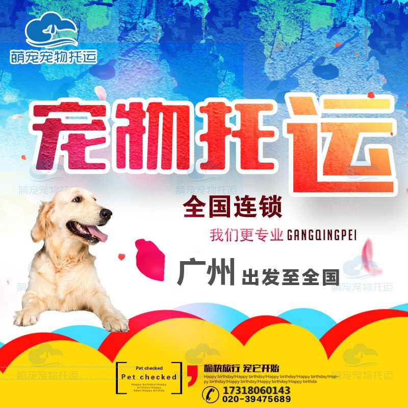 National Pet Care Services Kitty Dogs Charge D' Affaires Formalities Shenzhen Shanghai Guangzhou International Air Transport