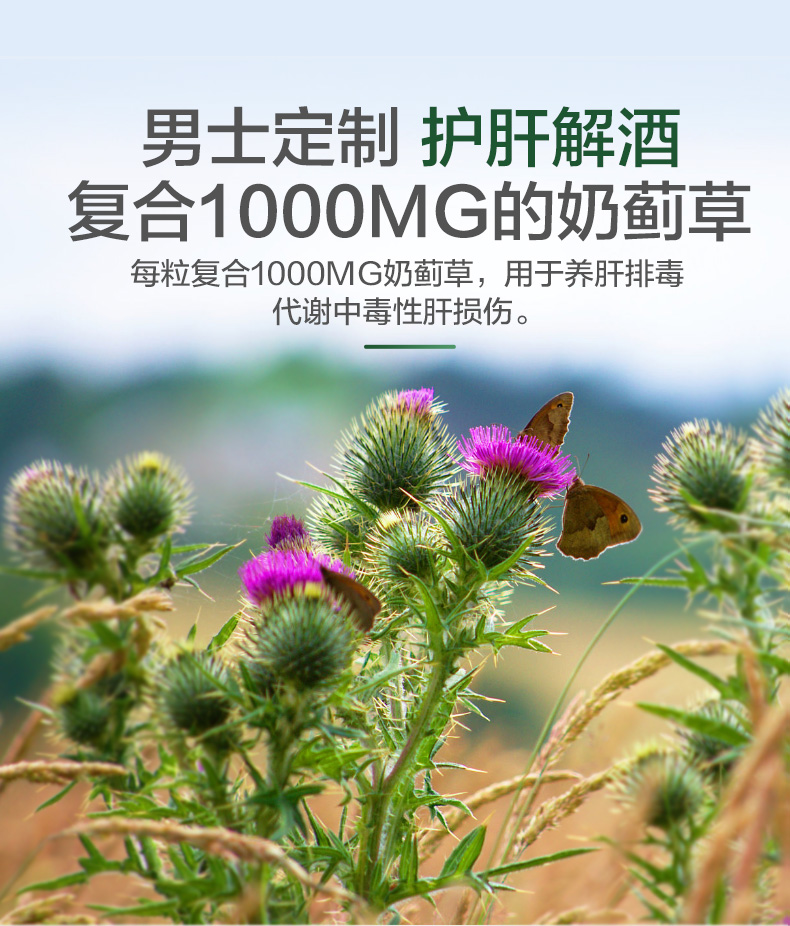 Viên nén vitamin tổng hợp dành cho nam Vitamore 60 viên nang Người đàn ông trưởng thành Nhiều loại vitamin tổng hợp Sản phẩm sức khỏe của Úc - Thức ăn bổ sung dinh dưỡng thực phẩm chức năng bổ não