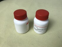 Isolation and purification of G-50 Agarose gel 4B Chromatographic medium Proteoglycan from Dextran Gel G-25