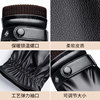 Woodpecker Leather Gloves for Men, Winter Fleece-Lined, Thickened, Warm, Windproof, Touchscreen-Compatible, Cycling, Cold-Proof Winter Gloves