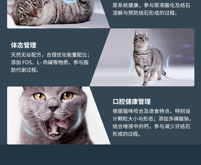 Bernard Pure Pure Cat Food 1.5kg No Valley Low Sensitive Formula Folding Ear Short Full Cat Type Cat áp dụng Thức ăn chính 3kg - Cat Staples hạt meo