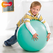 Taiwan original WEPLAY kindergarten sensory toy 55CM eco-friendly peanut ball balanced ball yoga ball 1317