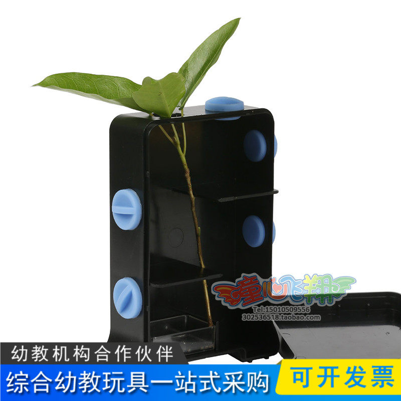 Kindergarten Scientific Plant Growth Observation Box Plant Phototaxis Experimental Box Culture Box Demonstration Photosynthetic Materials