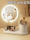 LED镜子化妆镜带化妆收纳筒台式桌面带灯学生家用补光镜2024新款