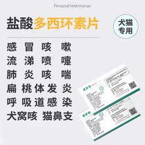 Doxycycline hydrochloride tablets cat cat nose cold medicine dog cough sneeze pet runny nose anti-inflammatory drug