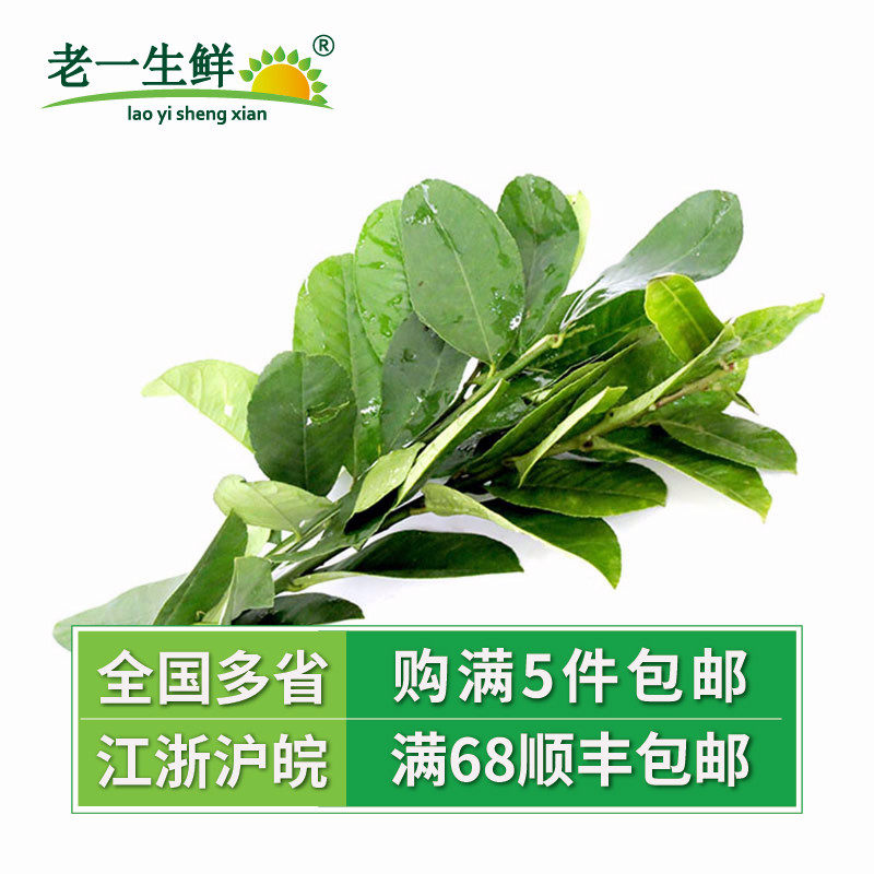 (old one fresh) fresh lemon leaves winter yin soup 250g with piercings of easy zingroe leaves