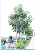 3 2-8 m fishing rod telescopic spray Rod sprayer spray Rod