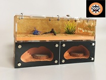 Double nest room one house double water tower Ant nest Ant Castle small belly Ant House birthday gift