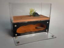 Middle fireplace B ant nest Ant Villa Ant factory Ant Castle Ant pet