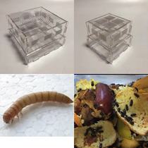 Bread Worm Box Kowloon Worm Rearing Box Yellow Pink Barley Insect Faeces Separation Acrylic Little Tummy Colony