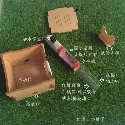 Mini Bamboo Nest Test Tube Nest Ant Villa Ant Workshop Ant Castle Ant Pet