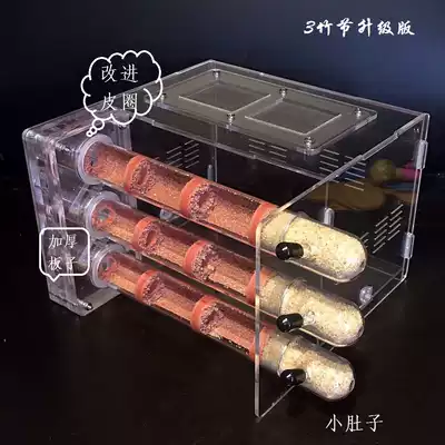 Bamboo nest Test tube nest Ant villa Ant nest Ant workshop Ant castle Ant pet