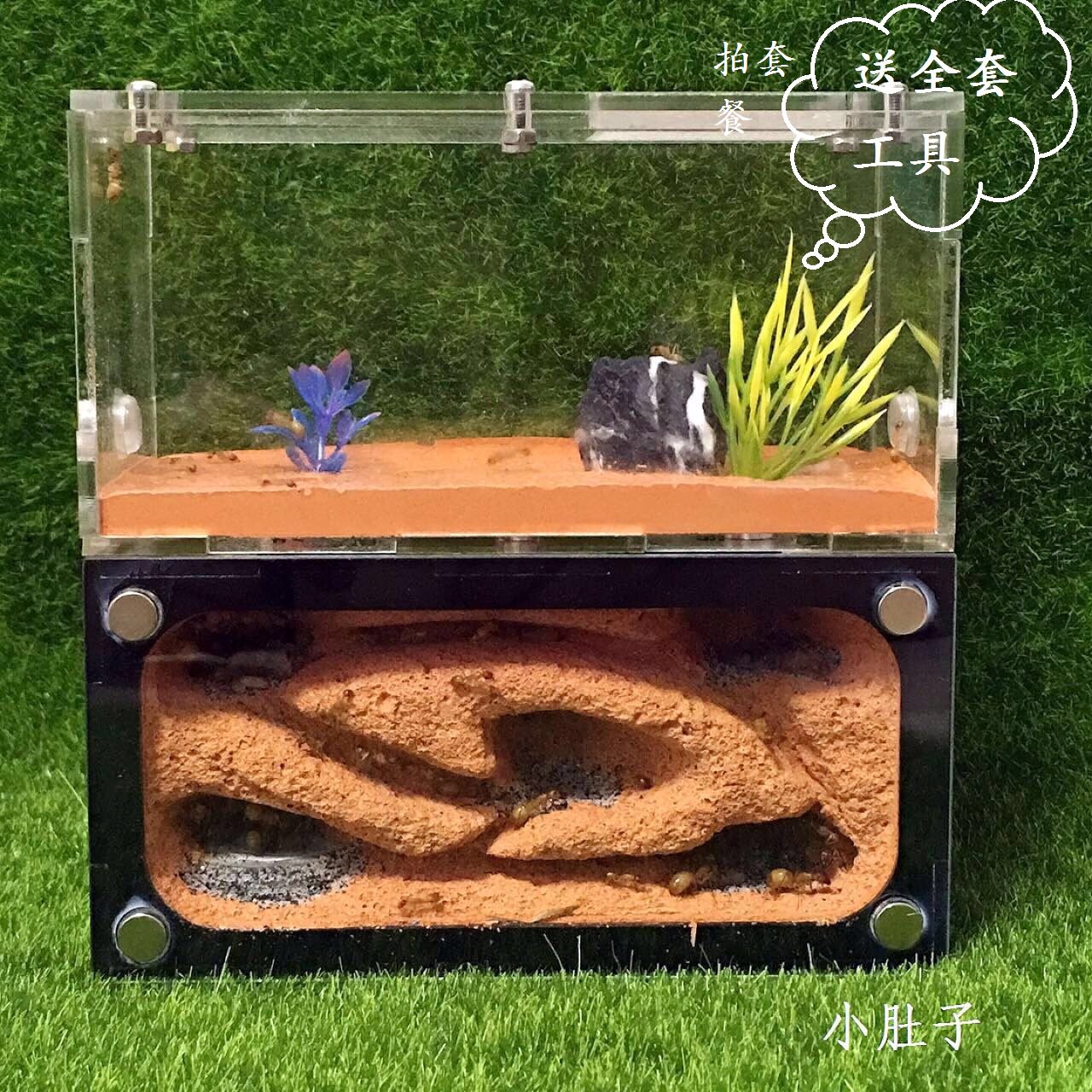 New version Two-bedroom ants Ants Nest Ant-Man Château Ant-Man Castle Ant-Man Pet