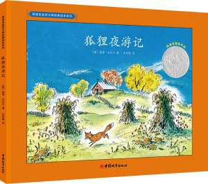 现货正版 凯迪克金奖大师彼得 史比尔绘本 套装3册 夏天的天空+狐狸夜游记+诺亚方舟 幼儿绘本儿童绘本宝宝绘本故事书 6-12岁