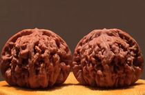 Wen play walnut special-shaped boutique three-edge Siamese walnut Wen play lion head stuffy tip white apple garden Baihua Mountain grinding plate