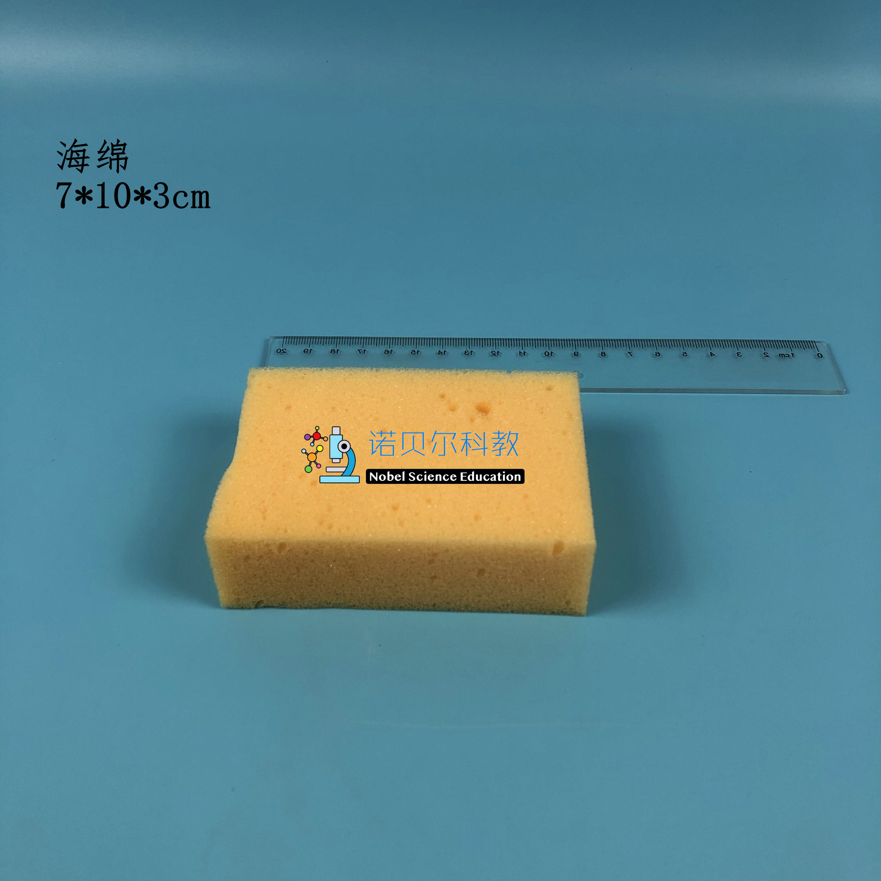海绵形状改变实验材料小学科学苏教版2上实验器材7*10*3cm