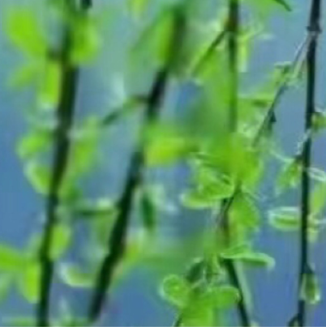 工业材料科技
